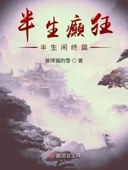 《半生癫狂半生闲》小说封面