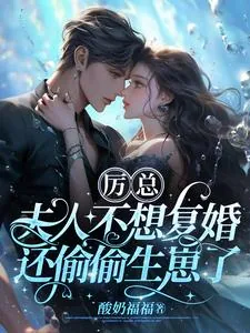 《厉总，夫人不想复婚还偷偷生崽了》小说封面