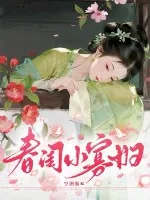 《春闺小寡妇》小说封面