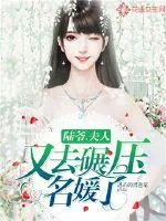 《陆爷,夫人又去碾压名媛了!》小说封面