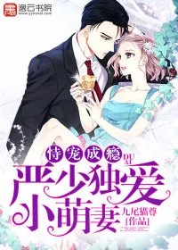 《恃宠成瘾，严少独爱小萌妻》小说封面