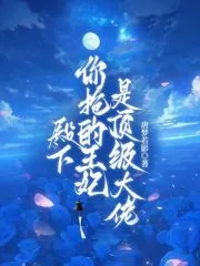 《殿下,你抢的王妃是顶级大佬》小说封面