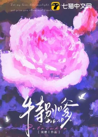 《不务正夜》小说封面