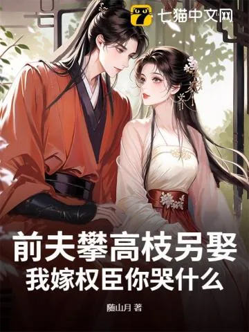《解春衫》小说封面