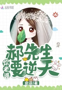 《郝先生,你老婆要逆天》小说封面