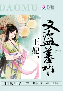 《启禀王爷:王妃,又盗墓啦!》小说封面