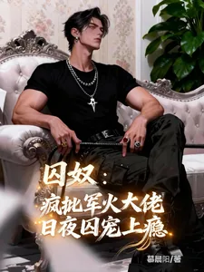 《囚奴:疯批军火大佬日夜囚宠上瘾》小说封面