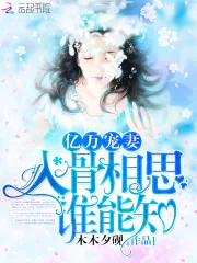 《亿万宠妻:入骨相思谁能知》小说封面
