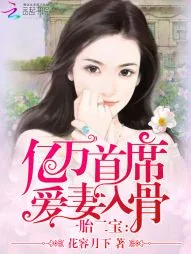 《一胎二宝:亿万首席爱妻入骨》小说封面