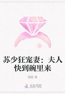 《苏少狂宠妻：夫人快到碗里来》小说封面