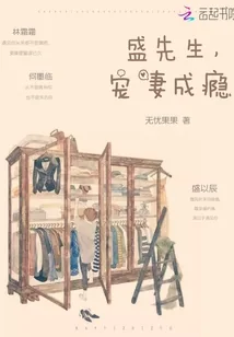 《盛先生，宠妻成瘾》小说封面