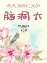 《锦绣清宫:四爷,脑洞大》小说封面