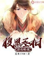《腹黑丞相想攻略我?!》小说封面