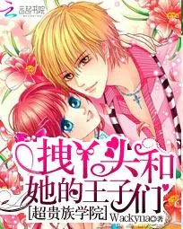 《超贵族学院:拽丫头和她的王子们》小说封面