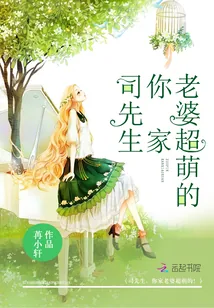 《司先生,你家老婆超萌的!》小说封面