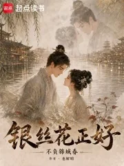 《银丝花正好,不负锦城春》小说封面