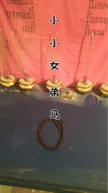 《小小女弟马》小说封面