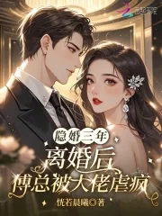 《隐婚三年,离婚后傅总被大佬虐疯》小说封面