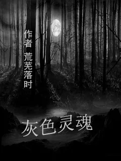 《灰色灵魂》小说封面