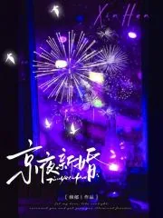 《京夜新婚》小说封面