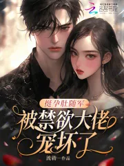 《挺孕肚随军,被禁欲大佬宠坏了!》小说封面
