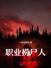 《职业捞尸人》小说封面