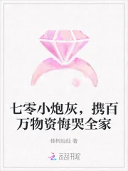 《七零小炮灰,携百万物资悔哭全家》小说封面