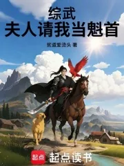《综武:夫人请我当魁首》小说封面