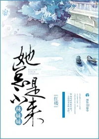 《林妹妹她总是不来[红楼]》小说封面