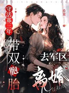 《守活寡三年,带双胞胎去军区离婚》小说封面