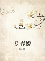 《引春娇》小说封面