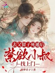 《去父留子死遁后，禁欲小叔找上门》小说封面