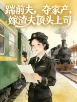 《踹前夫,夺家产,嫁渣夫顶头上司》小说封面