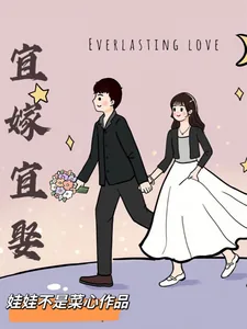 《宜嫁宜娶》小说封面