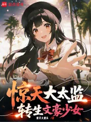 《惊天大太监,转生文学少女》小说封面
