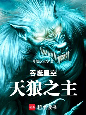《吞噬星空：天狼之主》小说封面