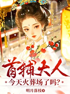 《首辅大人今天火葬场了吗?》小说封面
