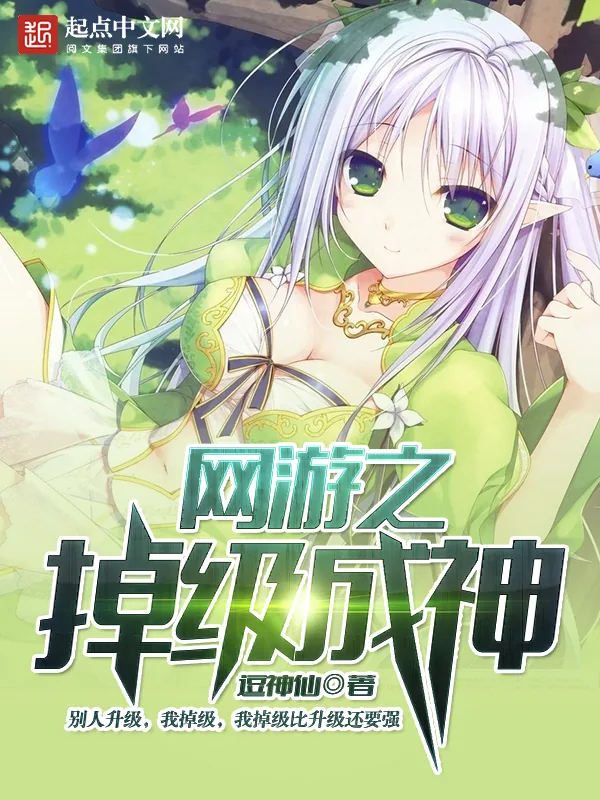 《网游之掉级成神》小说封面