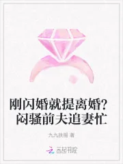《刚闪婚就提离婚?闷骚前夫追妻忙》小说封面