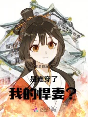 《是谁穿了我的悍妻?!》小说封面