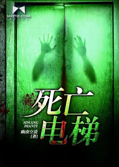 《夺命电梯》小说封面