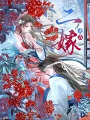 《二嫁大吉》小说封面