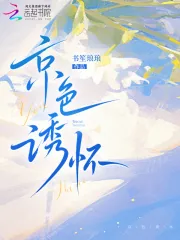《京色诱怀》小说封面