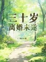 《三十岁,离婚未遂》小说封面