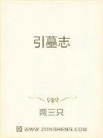 《引墓志》小说封面