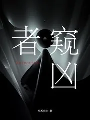 《窥凶者》小说封面