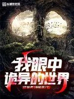 《我眼中诡异的世界》小说封面