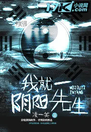 《我就一阴阳先生》小说封面