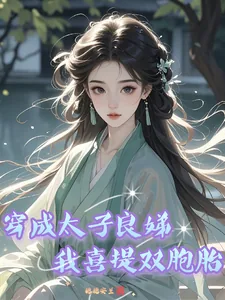 《穿成太子良娣，我喜提双胞胎》小说封面