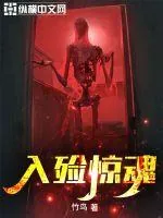 《入殓惊魂》小说封面